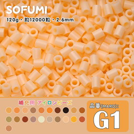 ソフミ[G1] 単色 ミニアイロンビーズ 120g 約12000粒入りアイロンビーズ MARD番号 ナノビーズ 2.6mm 熨斗ビーズ 単色ビーズ 袋入りビーズ DIY 大容量 ビーズセット 補充ビーズ ビーズクラフト ドット絵 知育 ビーズアート 単色パーツ 初心者対応 ハンドメイド パーツ 手芸