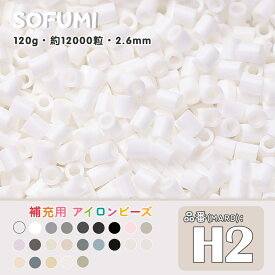 ＼期間限定50％OFF／ソフミ [H2] 単色 ミニアイロンビーズ 120g 約12000粒入りアイロンビーズ MARD番号 ナノビーズ 2.6mm 熨斗ビーズ 単色ビーズ 袋入りビーズ DIY 大容量 ビーズセット 補充ビーズ ビーズクラフト ドット絵 知育 ビーズアート 単色パーツ 初心者対応