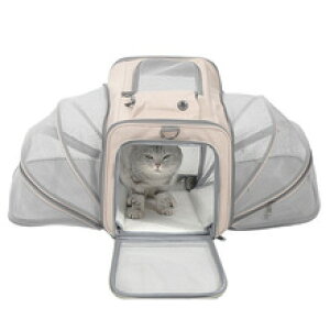 L bN L[obO ybgL[ ybgL[bN ybgobO ybgbN  ^ ^LΉ e y IbNXtH[hf pm~bNr[ J 