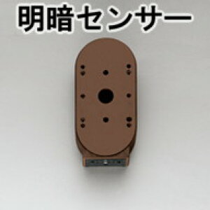 ǖʐpyI[fbNzƖɓKZT[IłwOA253380xÃZT[y^C}[tz