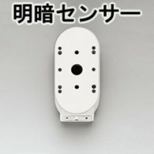 ǖʐpyI[fbNzƖɓKZT[IłwOA253382xÃZT[y^C}[tz