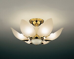 VfA mErOE_CjO dʔ |V[O zCg GKg S[hbL () KX |[[bgɎt\ nhCh