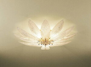 VfA mErOE_CjO dʔ HKv S[h GKg C^A 24bL NJKX(NA) nhCh