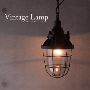 y_gCg mErOE_CjO 4.5ȉE^ dF(2700K) C_XgA