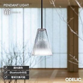 ペンダントライト ダイニング リビング トイレ LED 直付け ダクトレール 傾斜天井可 調光調色 Bluetooth AQUA アクア 霜 アクリル ※工事必要