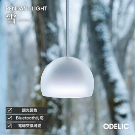 ペンダントライト ダイニング リビング トイレ LED 直付け ダクトレール 傾斜天井可 調光調色 Bluetooth AQUA アクア 雪 アクリル ※工事必要
