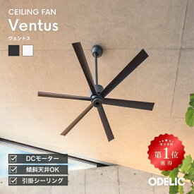 【スーパーSALE10％OFF】シーリングファン 軽量 ファン本体 DCモーター 静か 省エネ 簡易結線型 指定の角度まで傾斜対応 60cm延長パイプセット リモコン付属 モダン