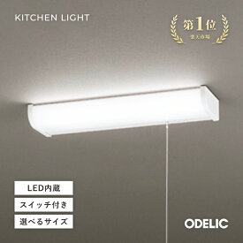 ブラケットライト キッチンライト 手元灯 流し元灯 LED ひもスイッチ付き 棚下取付 壁面 コンセント付タイプ/コンセントなしタイプ 昼白色 スリム 薄型 シンプル 台所※工事必要