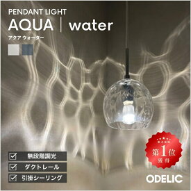 【9月スーパーSALEのペンダントライト ランキング1位獲得！電球なし選択可能】ペンダントライト ダイニング リビング トイレ LED 引掛けシーリング ダクトレール 調光可 AQUA アクア 水面 ガラス