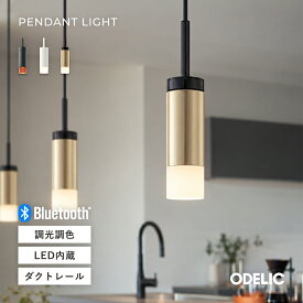 ペンダントライト 吊下げ天井照明 LED キッチン カウンター おしゃれ 北欧 モダン スリム 筒型 小型 電球色/Bluetooth調光調色 高演色 ダクトレール取付/直付け(工事必要)