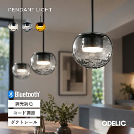 ペンダントライト おしゃれ ウォーター 水面 北欧 ガラス風 吊り下げ照明 1灯 LED ダイニング キッチン カフェ モダン リビング インテリア 小型 透明/セピア/グレー ダクトレール取付/直付け(工事必要)