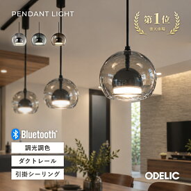 ペンダントライト 吊り下げ照明 北欧 おしゃれ LED 電球色/温白色/昼白色/Bluetooth調光調色 アクリル 丸形 円形 1灯 モダン スタイリッシュ 玄関 トイレ 寝室 鏡面 浮遊感 ダクトレール/直付け(工事必要)