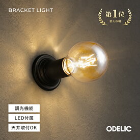 ブラケットライト ウォールライト ウォールランプ シーリングライト LED 屋内用 室内 フィラメント 裸電球 電球色2400K 電球交換可能 壁面/天井面/傾斜面取付可 調光可能(別売調光器必要)※工事必要