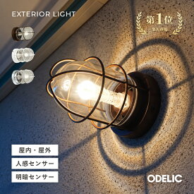 ブラケットライト 屋内外兼用 外灯 玄関 ポーチライト マリンライト 船舶 センサー別売(人感/明暗) LED 階段 廊下 庭 防雨型 防犯 おしゃれ レトロ アンティーク 真鍮 電球色※工事必要