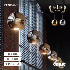 ペンダントライト 天井吊下げ灯 LED モダン シンプル 球形 丸型 鏡面 真鍮 金メッキ ニッケルメッキ 電球色 ダクトレール取付/直付け(工事必要) 調光可能(別売調光器必要)