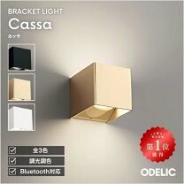 オーデリック LEDブラケットライト 高演色 FLAT PLATE フラットプレート 非調光 白熱灯100W相当 上下配光 昼白色 OB255255R ホーム キッチン