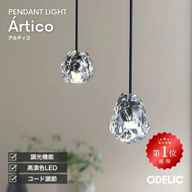 ペンダントライト ダイニング リビング トイレ LED 直付け ダクトレール 調光可(別売調光器対応) 氷 ガラス 透明 無垢