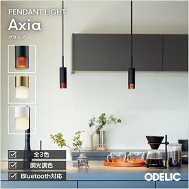 ペンダントライト ダイニング リビング トイレ LED 直付け ダクトレール 傾斜天井可 調光調色 Bluetooth 北欧 モダン アルミ