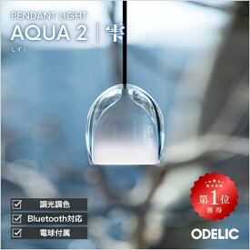 ペンダントライト ダイニング リビング トイレ LED 直付け ダクトレール 傾斜天井可 調光調色 Bluetooth AQUA アクア 雫 アクリル ※工事必要