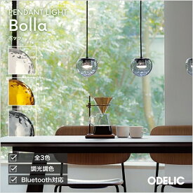 ペンダントライト 水面 ウォーター 洋風 4.5畳以下・小型 ダクトレール用 白熱灯60W相当 電球色(2700K)