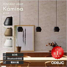 ペンダントライト ダイニング リビング LED 直付け ダクトレール 調光調色 Bluetooth 傾斜天井可 和モダン 和風 砂岩土 白土 波佐見焼