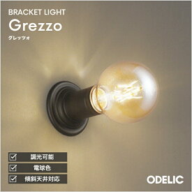 ブラケットライト 北欧 洋風 屋内用 天井面・傾斜面取付可 電球色(2400K) 調光可(別売調光器対応) ※工事必要壁付け 廊下 シック アンティーク レトロ 電球 球形 ブラック