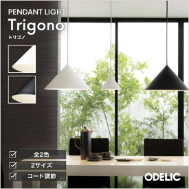 ペンダントライト ダイニング リビング LED 引掛けシーリング ダクトレール マットホワイト ブラック モノトーン 円錐