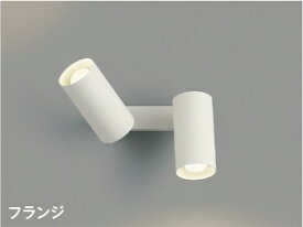 ブラケットライト スポットライト 洋風 屋内用 天井面・傾斜面取付可 白熱球100W2灯相当 温白色(3500K) ※工事必要