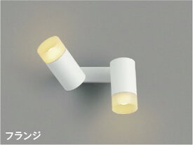ブラケットライト スポットライト 洋風 屋内用 天井面・傾斜面取付可 白熱球60W2灯相当 ※工事必要