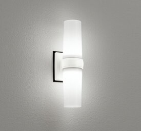 ブラケットライト 屋内屋外兼用 防雨・防湿型 LED 浴室灯 玄関灯 ポーチ 階段 廊下 トイレ 洗面所 外灯 壁面/天井面/傾斜面取付可 縦向き/横向き取付可 シンプル おしゃれ ホワイト 白 昼白色/電球色/温白色※工事必要