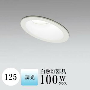 _ECg J125 F(5000K) M100W FR[ zCg  ʔΉ HKv SB^(C fMޑΉ^) gU A~_CJXg