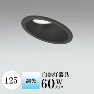 _ECg J125 F(5000K) M60W ubN HKv SB^(C fMޑΉ^) gU A~_CJXg