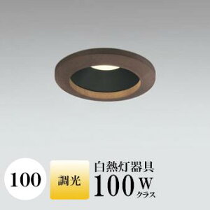 _ECg J100 dF(2700K) M100W ؘg uE  ʔΉ HKv SB^(C fMޑΉ^) z96° gU A~