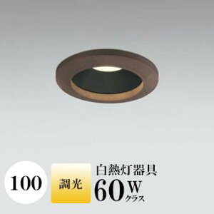 _ECg J100 dF(2700K) M60W ؘg uE  ʔΉ HKv SB^(C fMޑΉ^) z97° gU A~