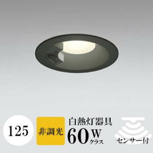 _ECg J125 dF(2700K) M60W ubN HKv SB^(C fMޑΉ^) gU A~_CJXg