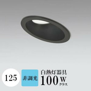 _ECg J125 F(5000K) M100W ubN  ʔΉ HKv SB^(C fMޑΉ^) gU A~_CJXg