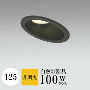 _ECg J125 dF(2700K) M100W ubN  ʔΉ HKv SB^(C fMޑΉ^) gU A~_CJXg