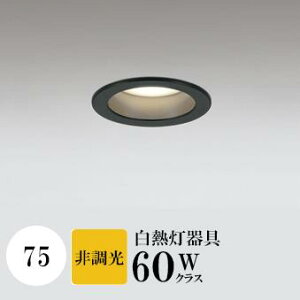 _ECg J75 dF(2700K) M60W ubN HKv SB`(C fMޑΉ^) A~