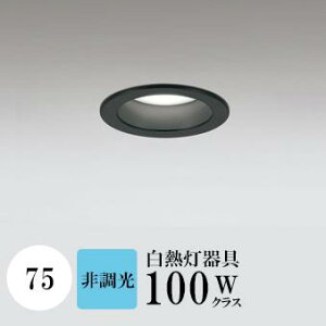 _ECg J75 F(5000K) M100W ubN HKv SB^(C fMޑΉ^) z95° gU A~