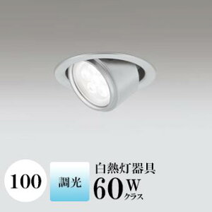 _ECg J100 F(5000K) M60W Vo[ HKv SB`(C fMޑΉ^) (ZT[AΉPƃZT[ł͂܂) A~_CJXg