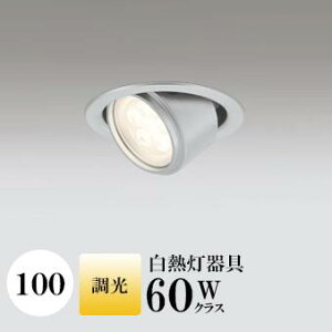 _ECg J100 dF(2700K) M60W Vo[ HKv SB`(C fMޑΉ^) (ZT[AΉPƃZT[ł͂܂) A~_CJXg