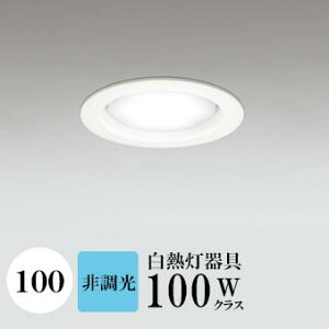 _ECg J100 F(5000K) M100W zCg HKv SB^(C fMޑΉ^) z114° gU tbg`LED