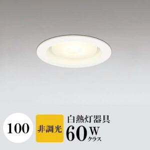 _ECg J100 dF(2700K) M60W ubN HKv SB^(C fMޑΉ^) z40° p tbg`LED