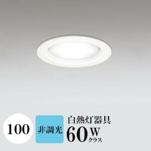 _ECg J100 F(5000K) M60W zCg HKv SB^(C fMޑΉ^) z114° gU tbg`LED