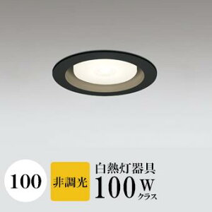 _ECg J100 dF(2700K) M100W ubN HKv SB^(C fMޑΉ^) z40° p tbg`LED