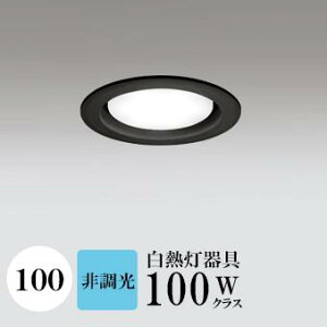 _ECg J100 F(5000K) M100W ubN HKv SB^(C fMޑΉ^) z114° gU tbg`LED