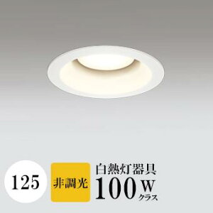 _ECg J125 dF(2700K) M100W zCg HKv SB^(C fMޑΉ^) z16° gU tbg`LED