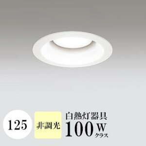 _ECg J125 F(3500K) M100W zCg HKv SB^(C fMޑΉ^) z16° gU tbg`LED