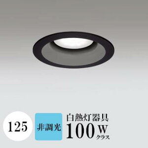 _ECg J125 F(5000K) M100W ubN HKv SB^(C fMޑΉ^) z16° gU tbg`LED