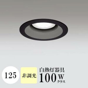 _ECg J125 F(3500K) M100W ubN HKv SB^(C fMޑΉ^) z16° gU tbg`LED